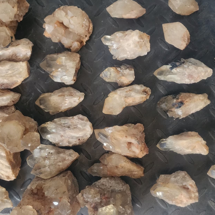 Collection image for: Verwacht: Congo