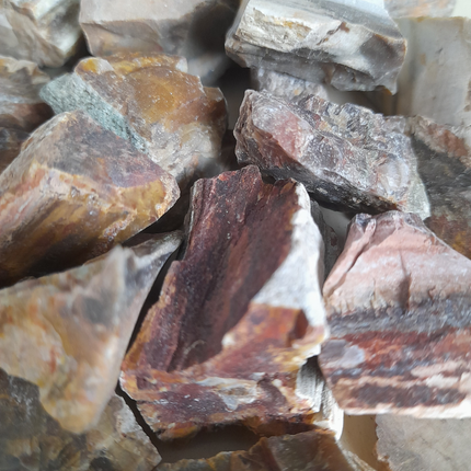 Versteend hout | Madagaskar | 1 kilo zak