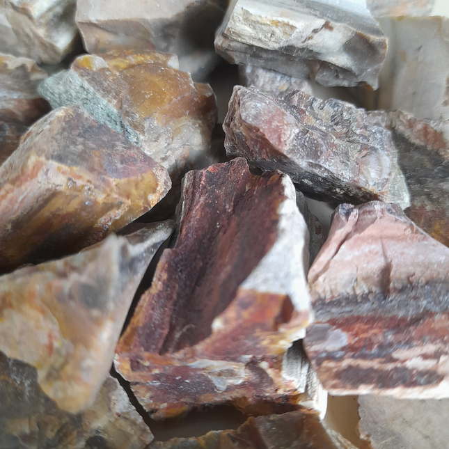 Versteend hout | Madagaskar | 1 kilo zak