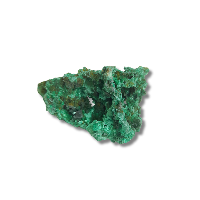 Fluweel malachiet | Congo (Katanga) nr.4