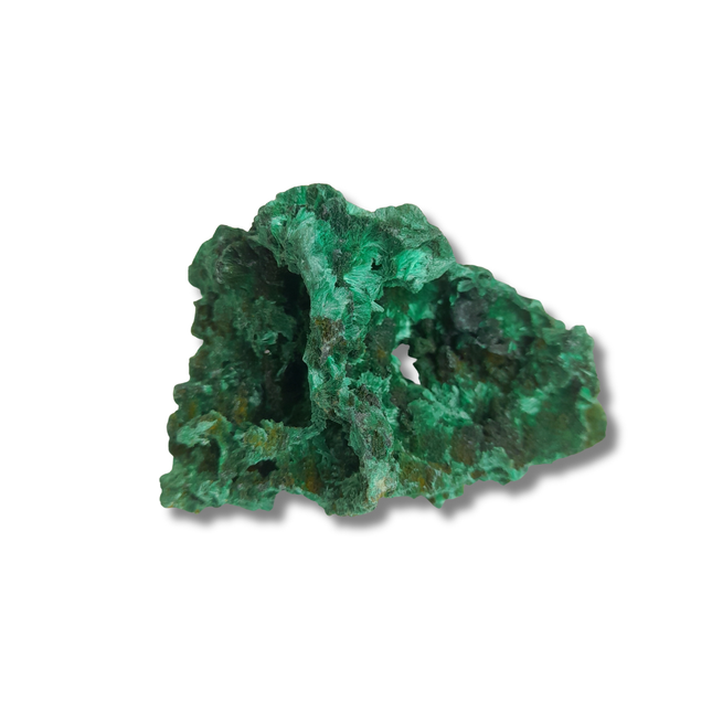 Fluweel malachiet | Congo (Katanga) nr.4