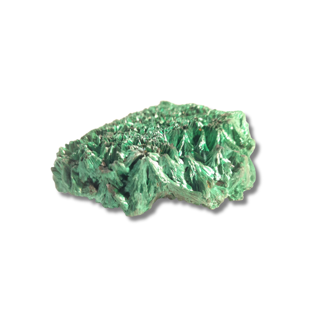 Fluweel malachiet | Congo (Katanga) nr.1