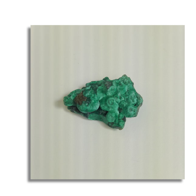 Fluweel malachiet | Congo (Katanga) nr.5