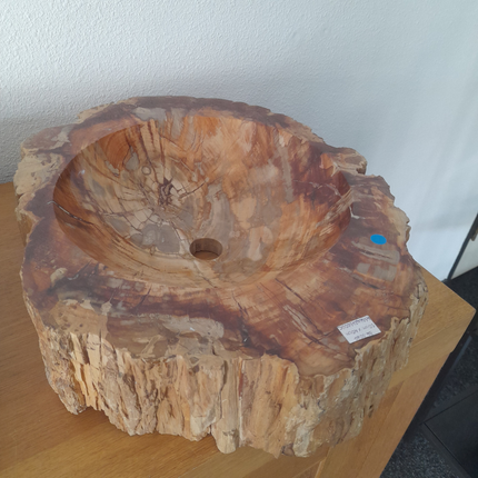 Versteend Hout Waskom | Madagaskar