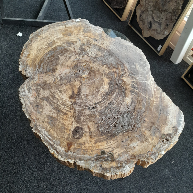 Versteend Hout Tafel | 90 × 62 cm | Madagaskar