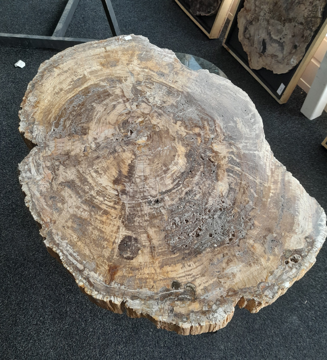Versteend Hout Tafel | 90 × 62 cm | Madagaskar