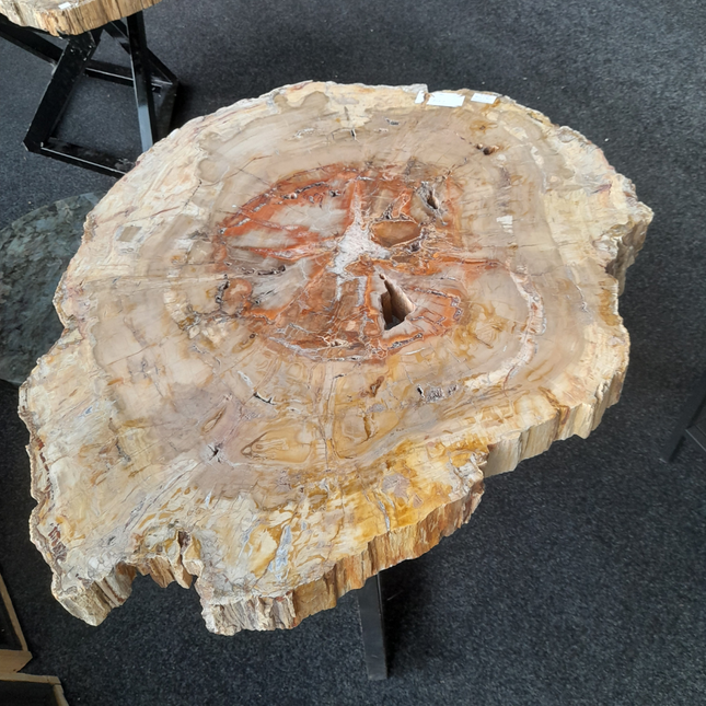Versteend Hout Tafel | 90 × 74 cm | Madagaskar