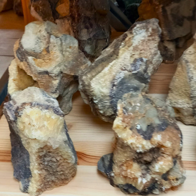 Septarie ruw staand per kilo
