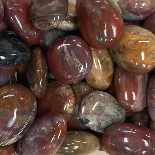 Versteend hout handstenen | Handgeslepen | Madagaskar 500 gram