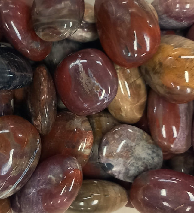 Versteend hout handstenen | Handgeslepen | Madagaskar 500 gram