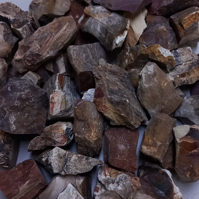 Versteend hout ruw per kilo