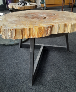 Versteend Hout Tafel | 90 × 74 cm | Madagaskar