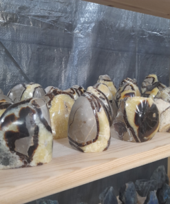 Septarie Staand | Half gepolijst | Madagaskar