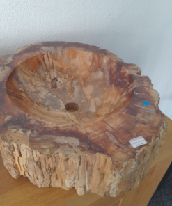 Versteend Hout Waskom | Madagaskar