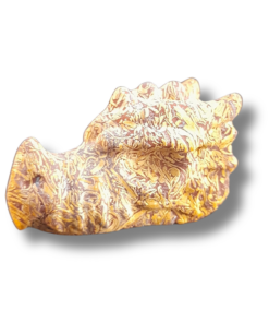 Alternative view of Slangen jaspis draak carving | klein