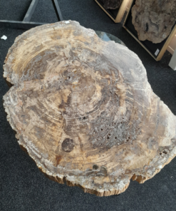 Versteend Hout Tafel | 90 × 62 cm | Madagaskar