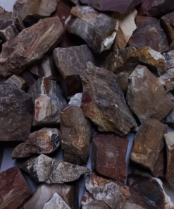 Versteend hout A ruw – Madagaskar – per 500 gram